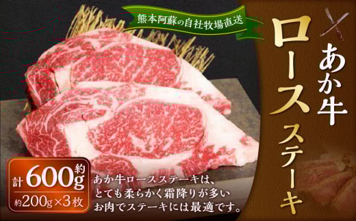 あか牛 ロースステーキ 約600g（あか牛ロースステーキ 約200g×3枚）肉 お肉 牛肉 和牛 褐毛和種 国産 九州産 冷凍 熊本県 湯前町