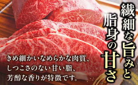 近江牛ヒレ120g×1　滋賀県長浜市/株式会社元祖鳥宗亭[AQCS006] 近江牛 近江牛 近江牛 近江牛 近江牛