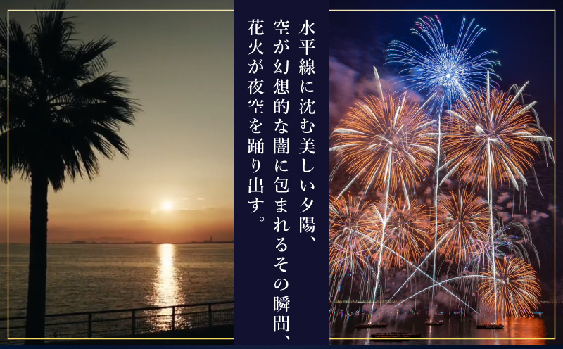 先行予約 大阪芸術花火2025 観覧チケット 大人1席分 099H3683