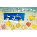 【ふるさと納税】海のかけらクッキー 1箱8個入り2箱セット | 菓子 おかし スイーツ デザート 食品 人気 おすすめ 送料無料