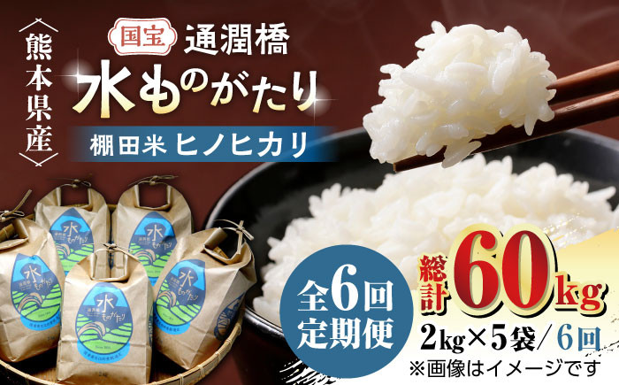 
            【全6回定期便】令和6年産  通潤橋 水ものがたり 棚田米 10kg (2kg×5袋) お米 白糸台地 熊本産 特別栽培米 定期便【一般社団法人 山都町観光協会】[YAB031] 
          