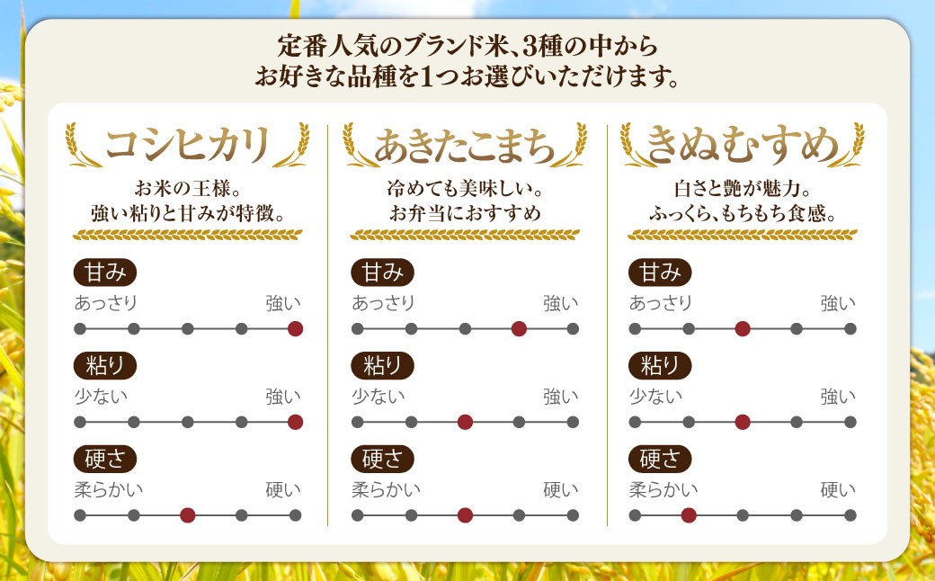 子育て応援米【令和7年産】奈義町産米 BG無洗米 コシヒカリ 10kg【窒素充填包装】