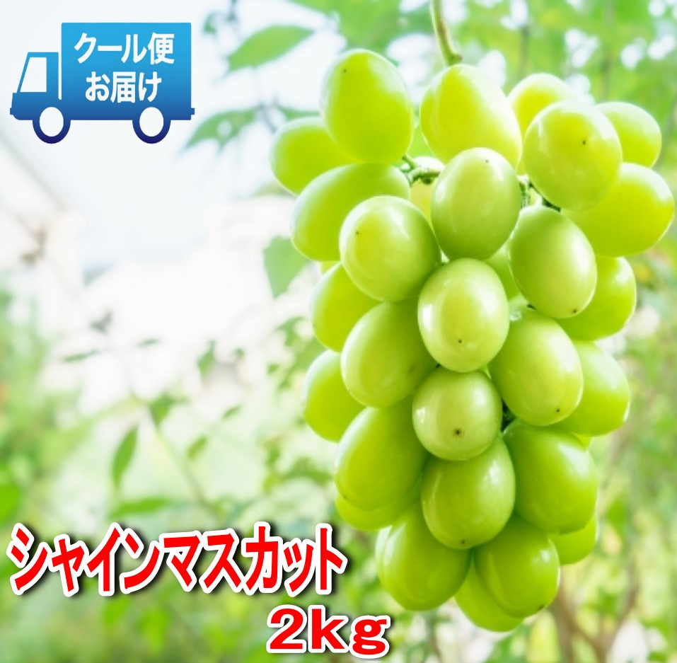 
            安心のクール便発送　収穫当日に産地直送　シャインマスカット　2kg（3～4房）　ALPDB003
          