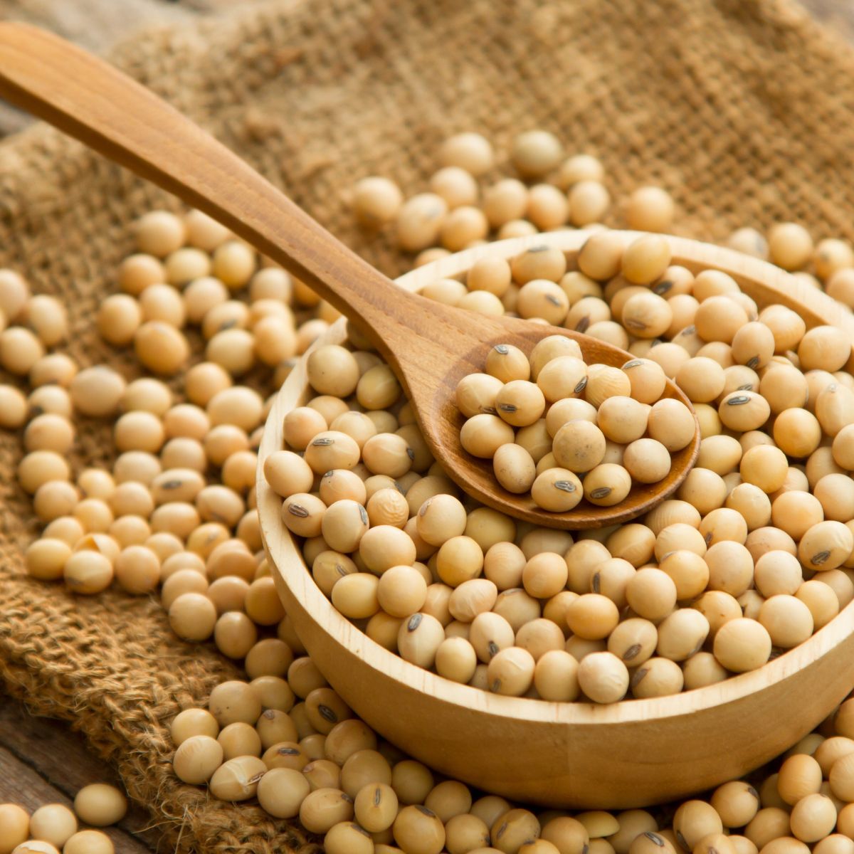 かつおだし醤油 720ml×2本 | 埼玉県 所沢市 醤油 しょうゆ しょう油 だし醤油 かけしょう油 つけしょう油 国産大豆 調味料 万能調味料 味付け 料理 冷ややっこ 焼き魚 刺身 卵かけご飯 