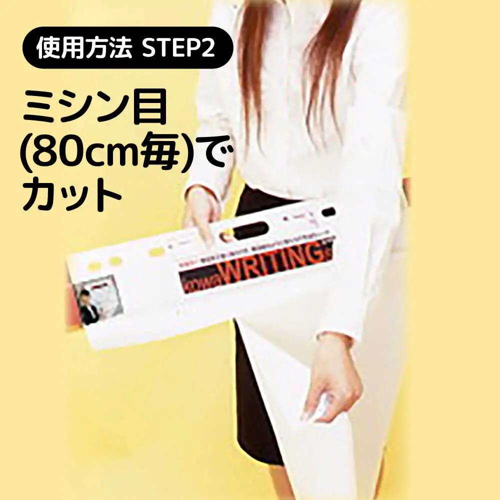 ホワイトボード ピタッとandかきけしーと (透明)10枚入り×2本セット [AIAR002] 
