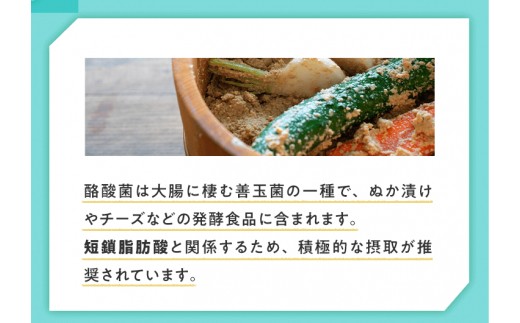 酪酸菌は大腸に棲む善玉菌の一種で、ぬか漬けやチーズなどの発酵食品に含まれます。積極的な摂取が推奨されています。