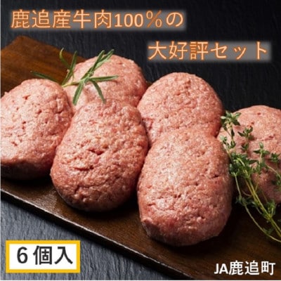 鹿追牛ハンバーグセット 200g×6個 【0117】【配送不可地域：離島】