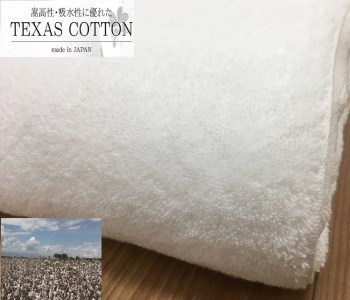 TEXSAS COTTON 100% タオルケット シングル ホワイト 1枚 SNT-20TXWH [3227]