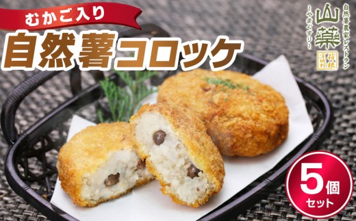 
                  むかご入り自然薯コロッケ5個セット｜惣菜 山芋コロッケ 人気 おすすめ 冷凍 お弁当 おかず 和風 揚げ物 時短 おすすめ 人気 送料無料 神奈川県 小田原市
                