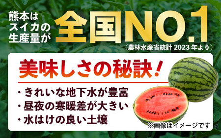 【先行予約】訳あり 小玉すいか 2玉 約2kg～3kg　【株式会社 Foody’s】[AYAT009]