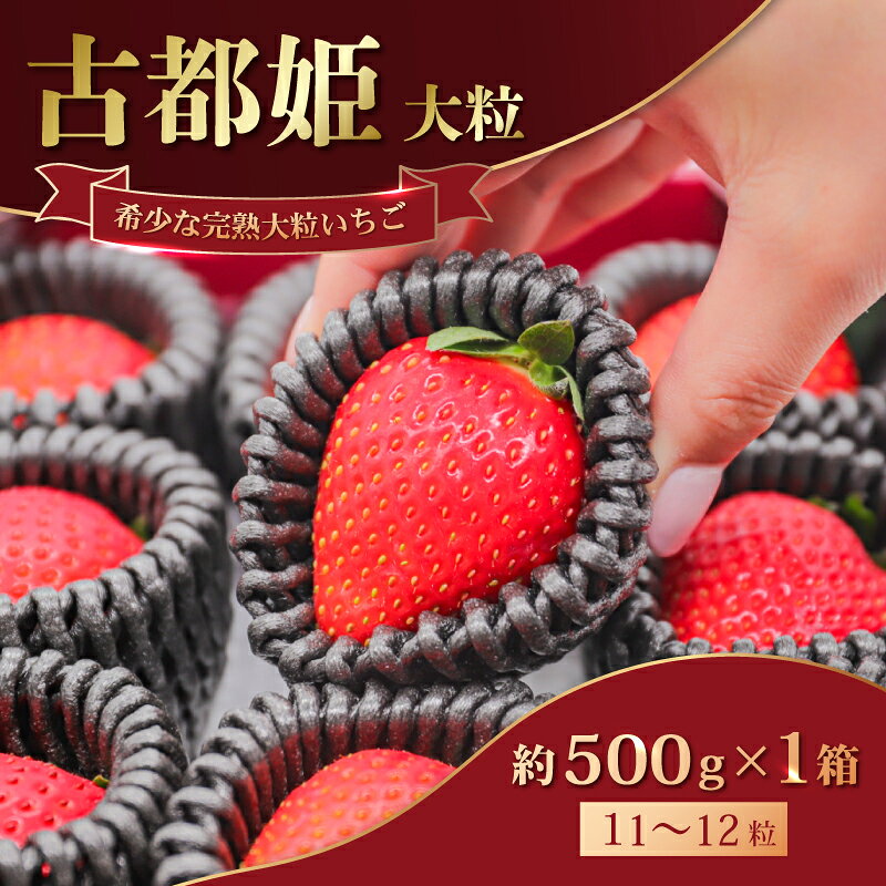 【ふるさと納税】 苺 いちご 古都姫(大粒) 大粒 フルーツキャップ 約500g×1箱 冷蔵 小分け 2027年 2~3月発送 果物 スイーツ デザート くだもの フルーツ ベリー いちご 採れたて 完熟 産地直送 先行予約 季節限定 ブランド イチゴ ギフト 中村農園 奈良県 奈良市 奈良 なら