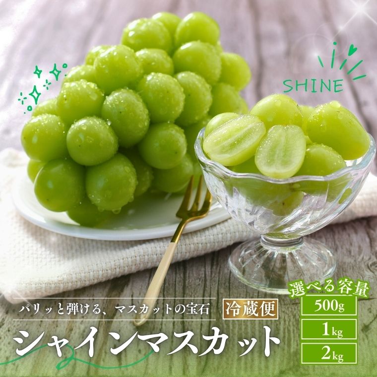 【ふるさと納税】＊ランキング上位入賞＊ シャインマスカット 500g or 1kg or 2kg「選べる訳あり規格」 / 9月下旬〜11月頃 配送// ふるさと納税 訳あり シャインマスカット ぶどう ブドウ 葡萄 フルーツ 果物 人気 期間限定 ギフト プレゼント 長野県 ふるさと納税