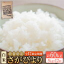 【ふるさと納税】＜14年連続特A評価＞【全12回定期便】さがびより 白米 5kg【大塚米穀店】 [HBL021]