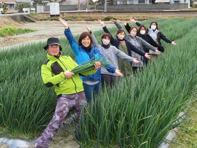 ねぎ 乾燥ねぎ 【ねっこ農園 手間なし パパッと! 乾燥 刻み ねぎ 】 30g 1袋 ねぎ 青ネギ 小分け 個包装 チャック