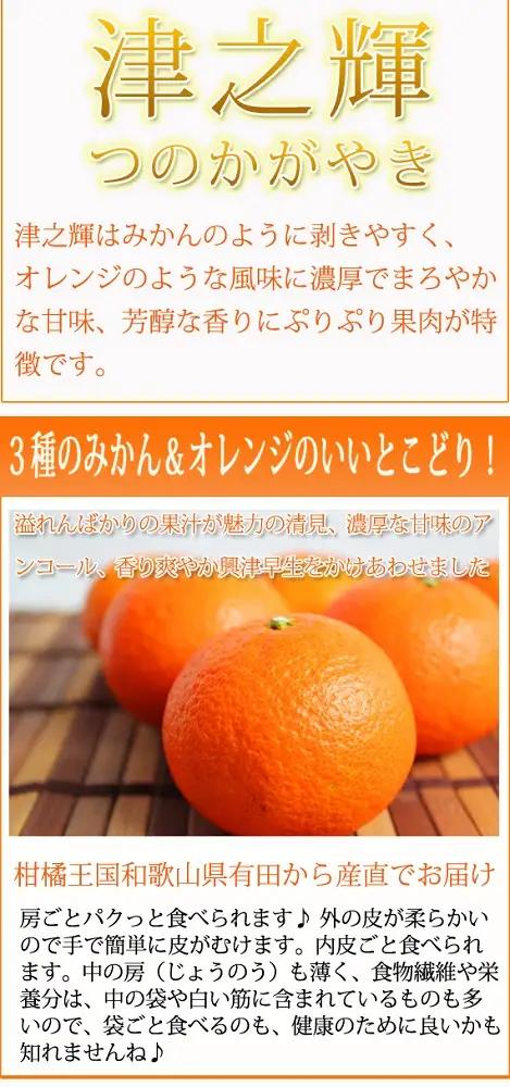 津之輝(つのかがやき)　５ｋｇ［2027年2月上旬頃から2027年2月下旬頃に順次発送］［UT21］