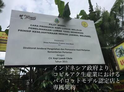 最高級コーヒー コピルアク 100g【粗挽き（ネルドリップ）】