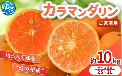 
                  ≪家庭用≫ カラマンダリン 10kg / くだもの 甘い みかん 柑橘 果物 和歌山  ※2027年3月下旬～4月上旬頃に順次発送【nktn015-c-10】
                