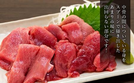 長崎県産　本マグロ中落ち 約600g | マグロ まぐろ  本マグロ 養殖マグロ 冷凍マグロ 鮪