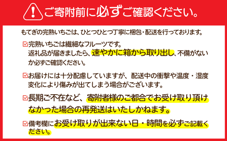 いちご【3月以降発送】とちあいか ギフト 900g | イチゴ 栃木県 茂木町 