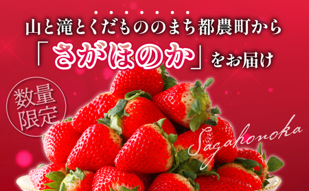 先行予約≪数量限定≫都農町産いちご「さがほのか」計1kg フルーツ 果物 デザート イチゴ 国産_T015-001【おすすめ いちご 旬 いちご 苺 くだもの いちご 果実 いちご おやつ いちご 産