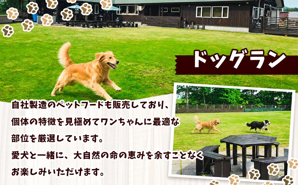 029-0411 犬用 エゾシカ肉 ドッグフード わんdeereフルセット 手作りごはん 北海道 鷹栖町 山恵 ドックフード