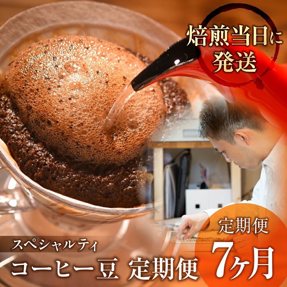 【ふるさと納税】 ＼焙煎当日発送／ 定期便 7ヶ月 甘みたっぷり スペシャルティコーヒー 超希少種 コーヒー豆 スペシャリティ ゲイシャ 200g × 7ヵ月 挽きたて 豆 粉 珈琲 自家焙煎 浅煎り 高級コーヒー 希少コーヒー プレゼント ギフト 焙煎幸房”そら” 岐阜県 大垣市