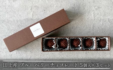 チョコレート ブルーベリー 無農薬 田上産 チョコレート【5個入×3セット】