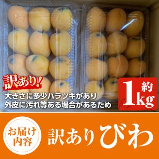 ＜2025年4月下旬以降発送予定＞＜訳あり・数量限定＞びわ(約1kg) 阿久根市 フルーツ 果物 デザート 甘味 酸味 果肉 果汁【松永青果】a-12-296