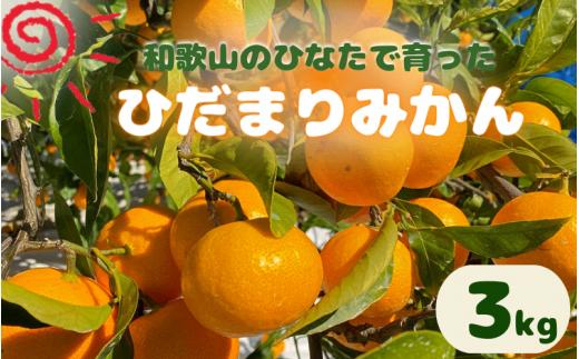 
                  <先行予約＞日向屋 ひだまりみかん　3kg(箱込み） ※2026年12月頃に順次発送予定【期間限定・2026/11/30まで】 / 田辺市 みかん 期間限定 先行予約 ミカン 和歌山 紀州【hnt015-1】
                
