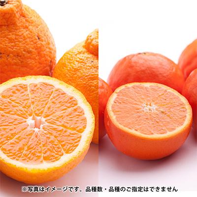 ふるさと納税 湯浅町 【発送月固定定期便】季節の柑橘定期便B【フルーツ定期便】【和歌山県有田】全3回 |  | 02