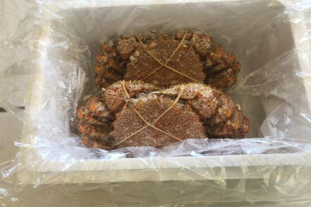 【北海道根室産】ボイル毛蟹400g～480g×2尾 B-27010