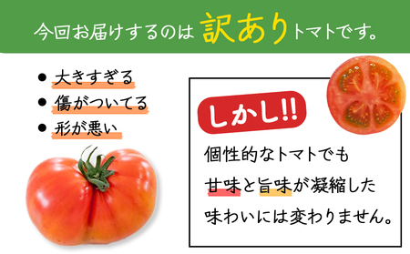 ご家庭用 トマト 桃太郎 約 4kg | やさい 野菜 とまと トマト 桃太郎 家庭用 熊本県 玉名市