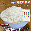 【ふるさと納税】★スーパーで買えない栄養と美味しさ★『定期便10ヵ月』銀河のしずく《特A 6年連続獲得中!》【5分づき精米】5kg 令和6年産 盛岡市産 ◆発送当日精米・1等米のみを使用したお米マイスター監修の米◆　定期便　お届け：2024年10月上旬より順次発送