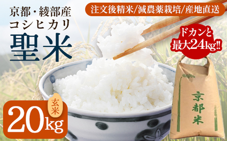 業務用 京都府産コシヒカリ 聖米 玄米 20kg