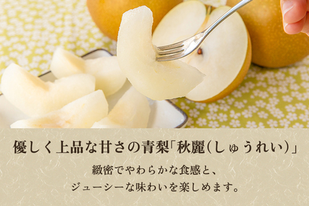 【2024年先行予約】【贈答用】和梨 秋麗 5kg（9〜14玉）《8月中旬から順次発送》 果物 なし 梨 フルーツ 新鮮 新潟のフルーツ産地 加茂市 まるさん金子果樹園