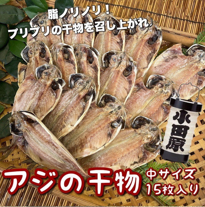 104-3090 鯵の干物 中サイズ 15枚セット