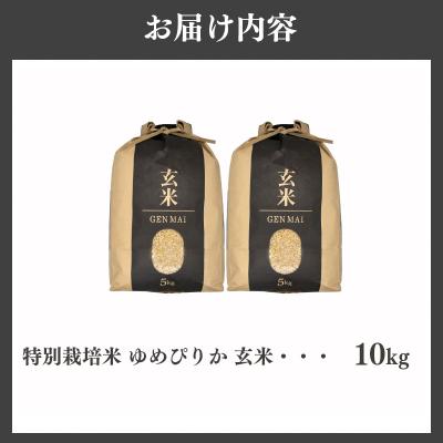 ふるさと納税 滝川市 【特別栽培米】令和7年産 滝川産ゆめぴりか【玄米】10kg  特A ブランド米 北海道 |  | 01