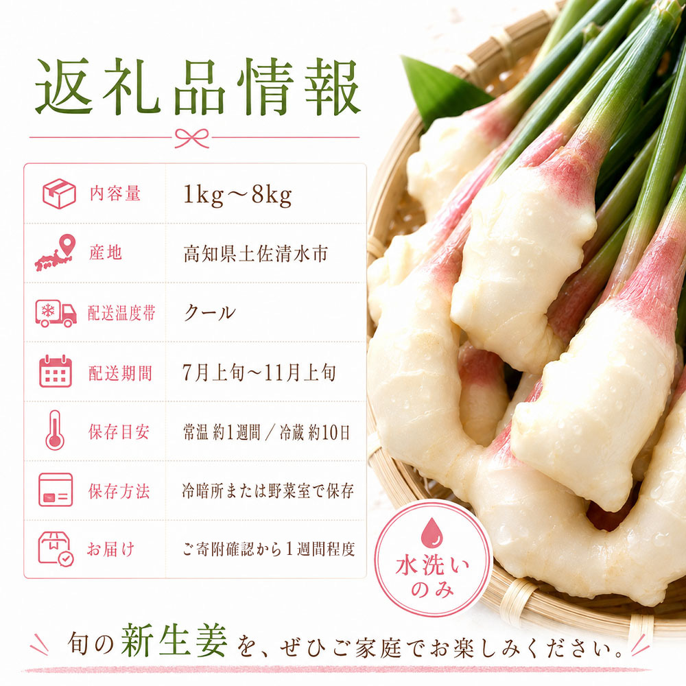 新生姜 2kg 水洗いのみ 生姜 生姜湯 ジンジャー しょうが ショウガ 2キロ 野菜 旬 季節限定 佃煮 甘酢漬け ジンジャーエール サラダ 新鮮 温まる 温活 冷え対策 国産 高知県 土佐清水市 