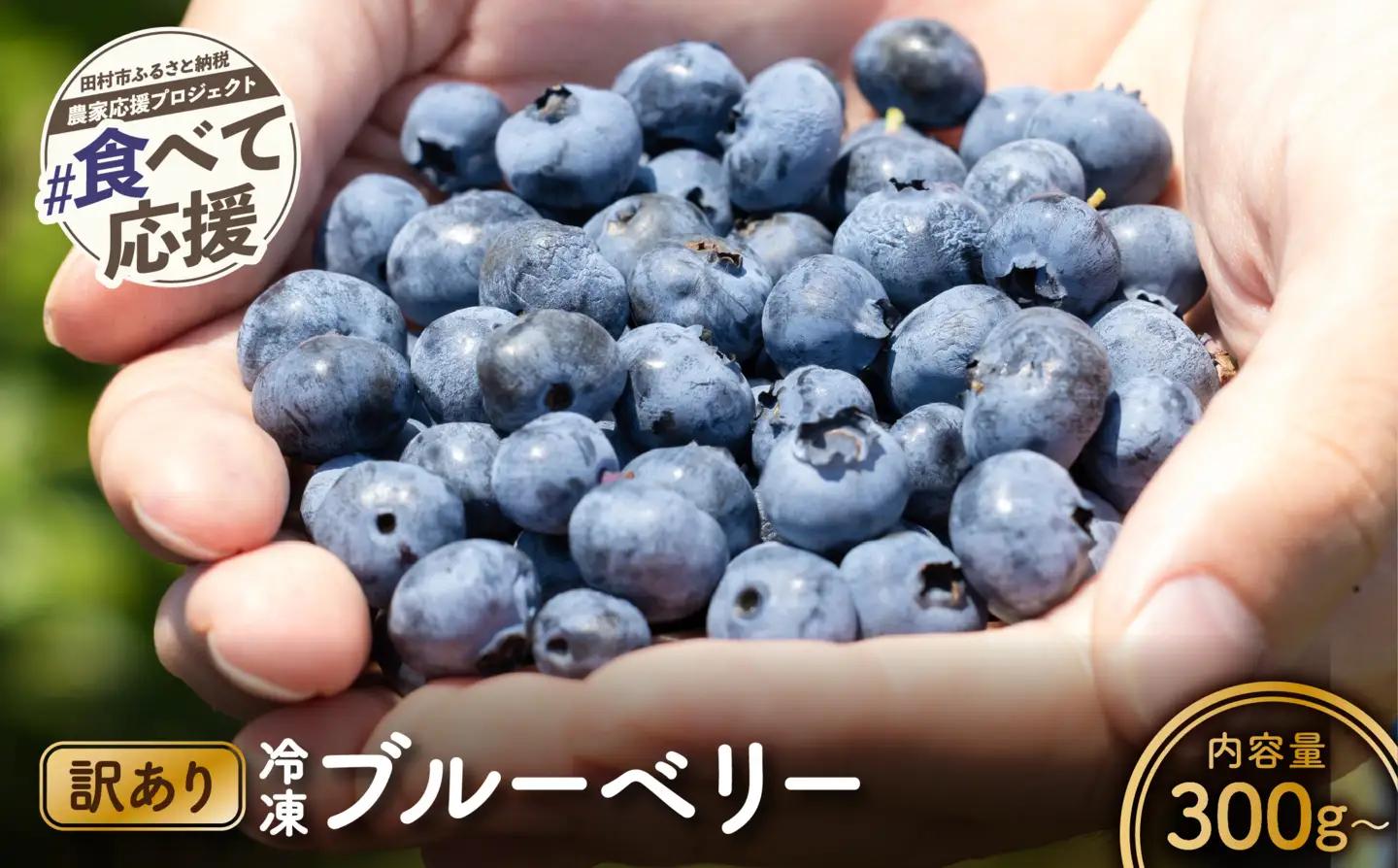 訳あり 冷凍ブルーベリー 500g 福島県 田村市 いずみの森ブルーベリー園