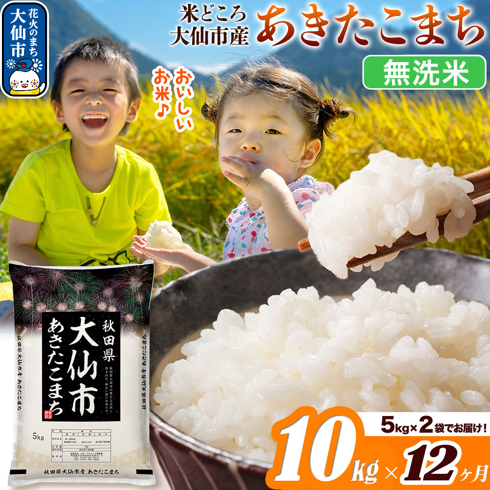 米 令和7年産《定期便12ヶ月》【無洗米】米どころ秋田県大仙市産 あきたこまち 10kg（5kg×2袋）