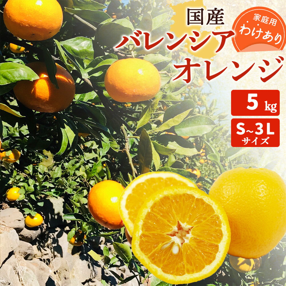 【ふるさと納税】【限定】 【先行予約】国産 バレンシアオレンジ 【訳あり 家庭用】 5kg S～3Lサイズ【バレンシア オレンジ 国産オレンジ 柑橘 和歌山 有田】