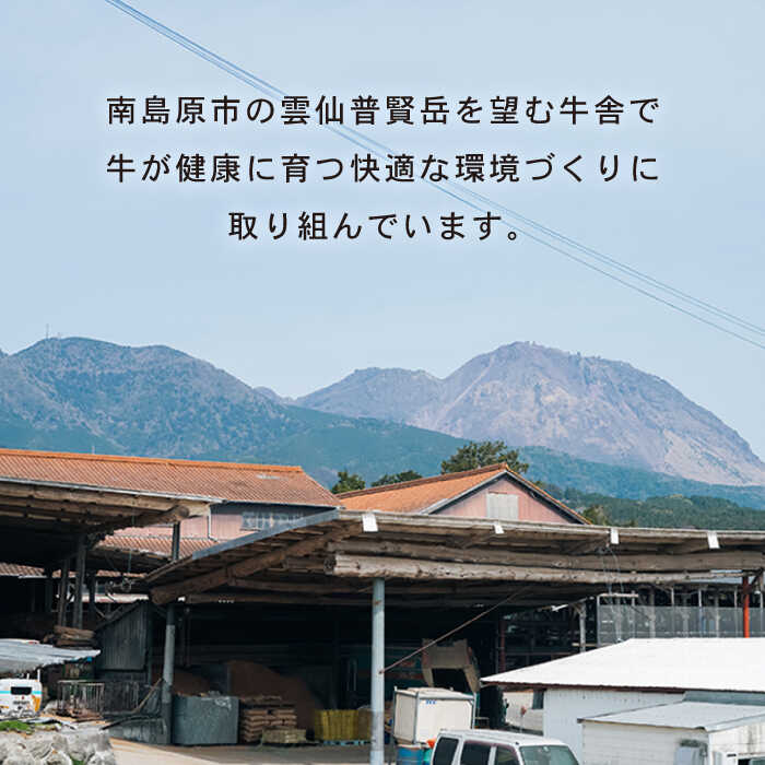 【12回定期便】長崎県産 和牛 肩ロース スライス 500g / すき焼き / しゃぶしゃぶ / 南島原市 / 高田牧場 [SDB010]_イメージ4