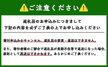 骨まで食べられる！一夜干しにしん５袋と甘露煮10枚【伊藤商店】_Y001-0051