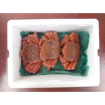 ふるさと納税 陸前高田市 生きたまま発送 毛ガニ 約300g×3匹 陸前高田市産 かに カニ 蟹 活毛ガニ 新鮮 濃厚 天然 |  | 01