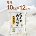 【ふるさと納税】【全12回定期便】【令和6年産新米】特A受賞 たんとう米 （ななつぼし） 10kg 《厚真町》【とまこまい広域農業協同組合】 米 コメ 白米 北海道 ブランド米 定期便 北海道産 [AXAB022] 315000 315000円