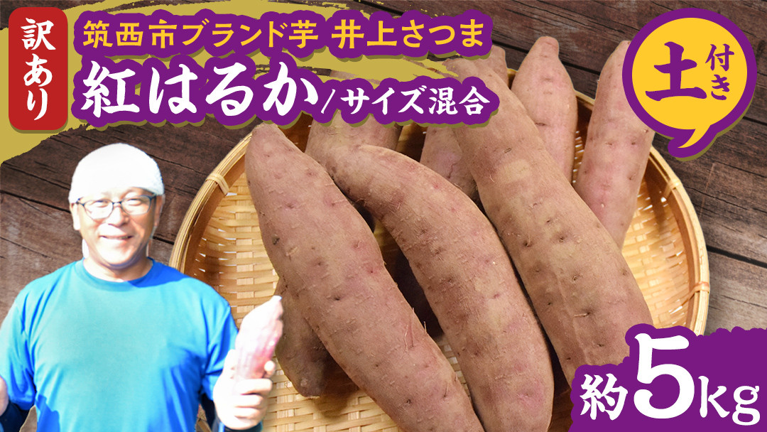 
            【 よしのいも 】訳あり 井上さつま 「 紅はるか 」 サイズ混合 約5kg ( 土付き ) 完熟 さつまいも いも おいも 焼き芋 芋 おやつ まごころ野菜よしの [DX018ci]
          