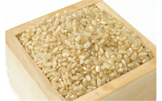 BE112【新米】低温熟成米（ヒノヒカリ・玄米）　10kg(米袋×2袋)