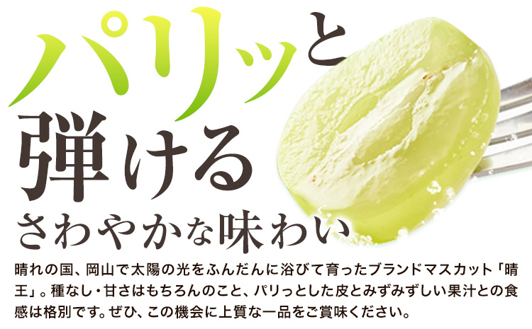 【2026年先行予約】シャインマスカット 晴王 岡山県産 定期便 2ヶ月 9月・10月発送《2026年9月中旬-10月中旬頃出荷(土日祝除く)》2房 1.1kg 晴レ乃青果　(岡山中央卸売市場店(富士
