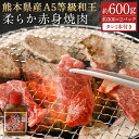 【ふるさと納税】熊本県産A5等級和王 柔らか赤身焼肉 合計約600g 約300×2パック 和牛 赤身 焼き肉 お肉 精肉 九州産 国産 冷凍 送料無料