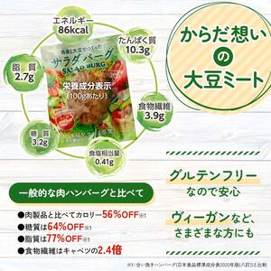 群馬県下仁田町 【原料は100％植物由来】こんにゃくと大豆で作ったサラダバーグ90g×10個 F21K-161